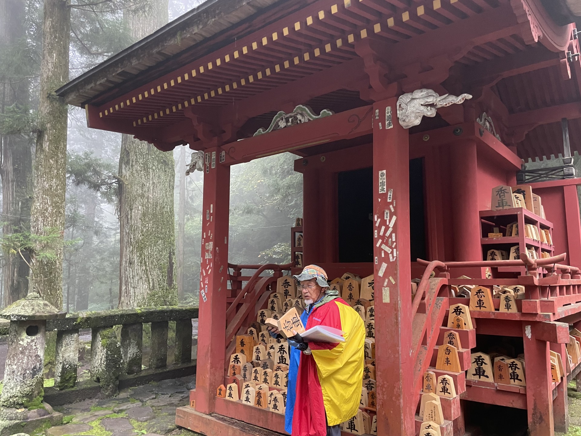 Discover the amazing Nikko with an English Guide!